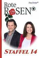 Saison 14