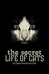 Les Super Pouvoirs du chat