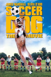 Soccer Dog
