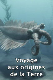 Voyage aux origines de la terre