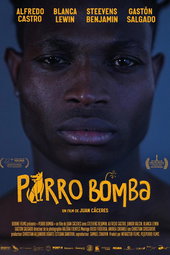 Perro Bomba