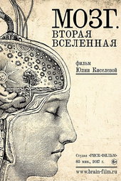 Brain. Second Universe