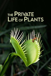 La Vie Privée des Plantes