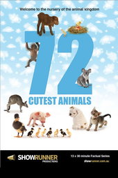 72 Animaux Mignons
