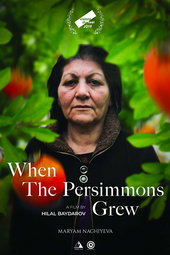 When the persimmons grew