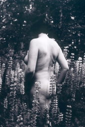My Body