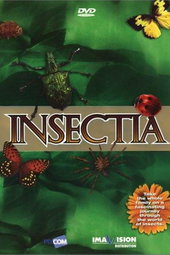 Insectia