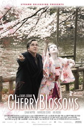 Cherry Blossoms - Hanami - Un rêve japonais