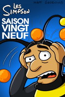 Saison 29