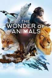 Les superpouvoirs des animaux