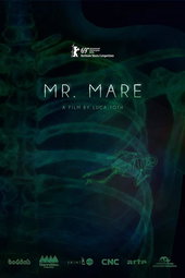 Mr. Mare