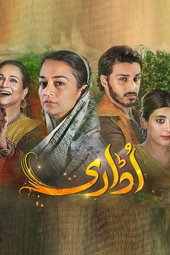 Udaari