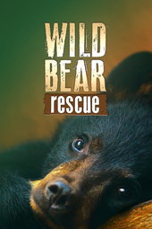 Un sanctuaire pour les ours