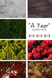 A Year