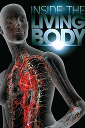 Inside the Living Body