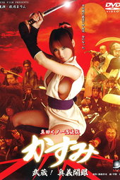 Lady Ninja Kasumi 3: Secret Skills