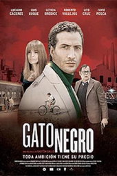 Gato negro