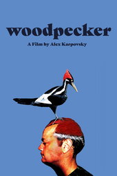 Woodpecker