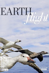 Un tour du monde à vol d'oiseau