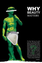 Why Beauty Matters