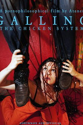 Gallino, the Chicken System