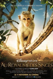 Au Royaume des singes