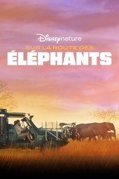 Sur la route des éléphants