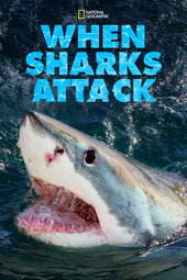When Sharks attack...