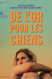 De l'or pour les chiens
