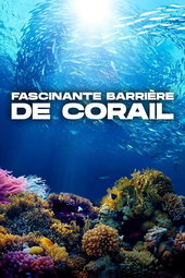 Fascinante barrière de corail