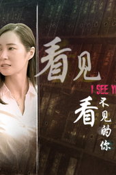 看见看不见的你