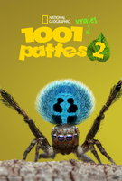 Saison 2