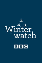 Winterwatch