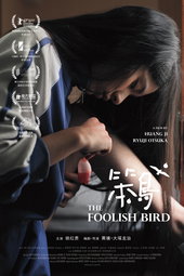 The Foolish Bird