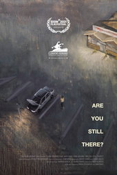 Are You Still There?
