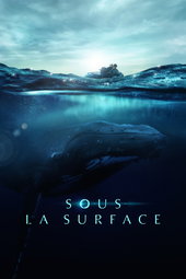 Sous la surface