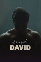 The Perfect David