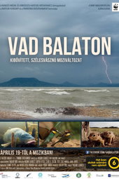 Balaton