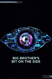 Big Brother's Bit on the Side