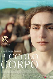 Piccolo corpo