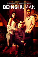 Saison 4