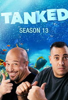 Saison 13