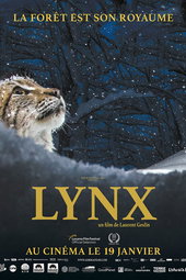 Lynx