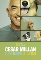 Saison 3