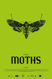 The Moths