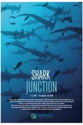 Shark Junction