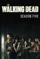 Saison 5