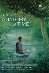 Anatomy of Time