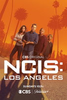 Saison 14