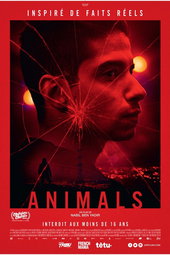 Animals